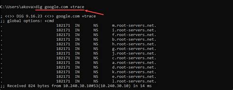 dig short output.